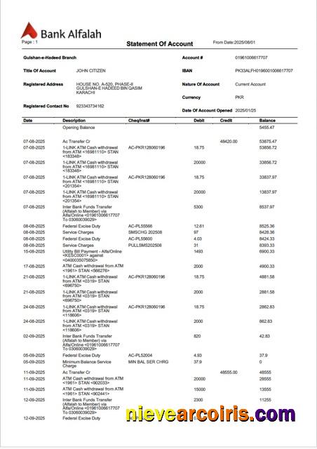Pakistan Bank Alfalah statement of account Word and PDF